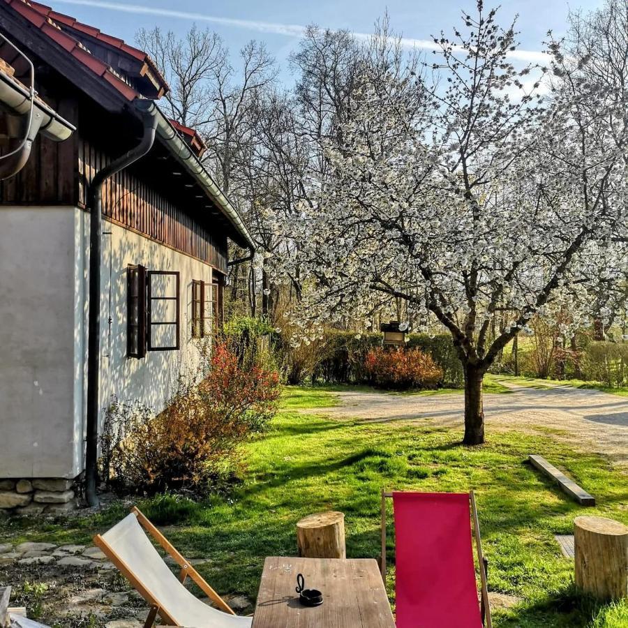 Apartmany Cerveny Dvur Chvalšiny Eksteriør bilde